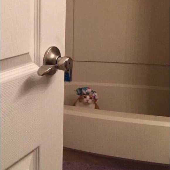 Meet your Posher, Jo - Picture 1 of 1